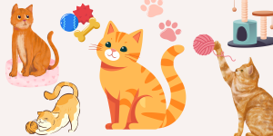 orange cats amazon must haves
