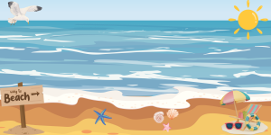 beach gadgets